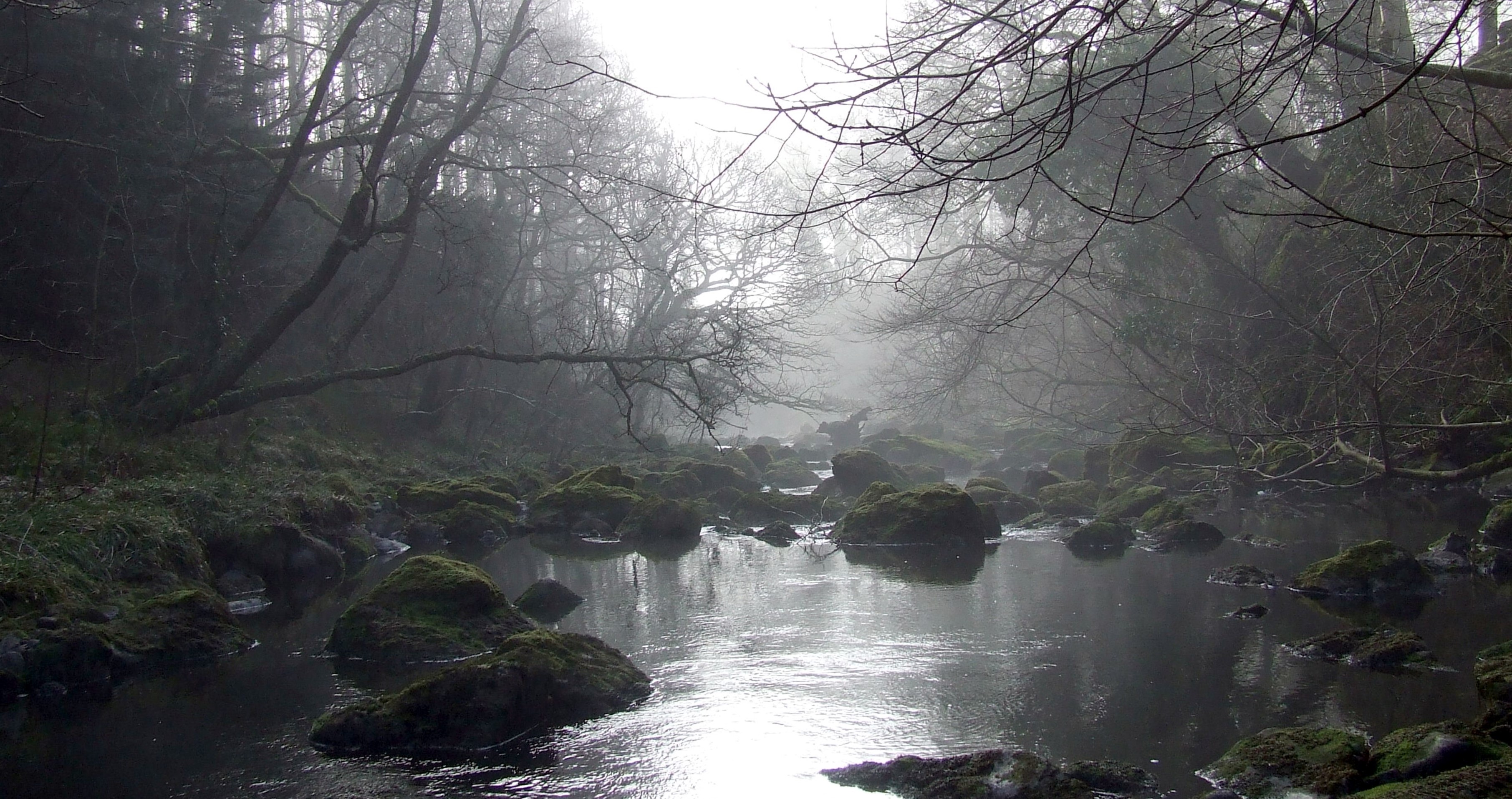 EARLY MORNING CLYWEDOG Bill Bagley Photography